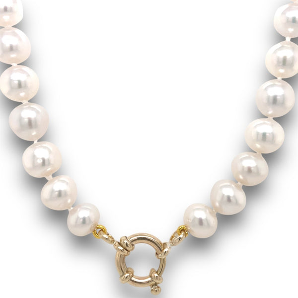 South Sea Pearl Strand with Gold Bolt Clasp